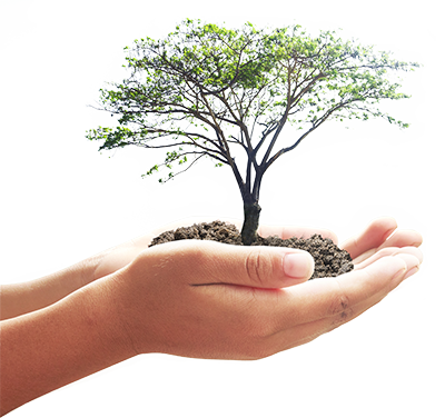 Parenting Guidance, Couples Family and Individual Therapy in Annapolis Valley, Nova Scotia